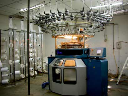 Knitting Plant